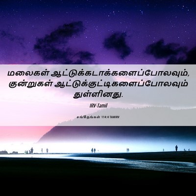 Picture 06 - சங்கீதங்கள் 114:4 TAMIRV - மலைகள் - Bible Verse Picture