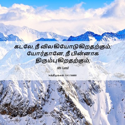 Picture 06 - சங்கீதங்கள் 114:5 TAMIRV - கடலே, நீ - Bible Verse Picture