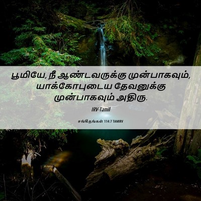 Picture 06 - சங்கீதங்கள் 114:7 TAMIRV - பூமியே, நீ - Bible Verse Picture