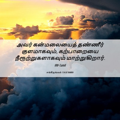 Picture 06 - சங்கீதங்கள் 114:8 TAMIRV - அவர் கன்மலையைத் - Bible Verse Picture