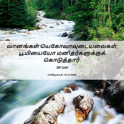Picture 06 - சங்கீதங்கள் 115:16 TAMIRV - வானங்கள் - Bible Verse Picture