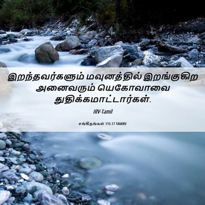 Picture 06 - சங்கீதங்கள் 115:17 TAMIRV - இறந்தவர்களும் - Bible Verse Picture