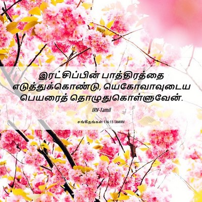 Picture 06 - சங்கீதங்கள் 116:13 TAMIRV - இரட்சிப்பின் - Bible Verse Picture