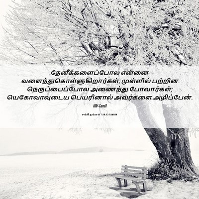Picture 06 - சங்கீதங்கள் 118:12 TAMIRV - தேனீக்களைப்போல - Bible Verse Picture