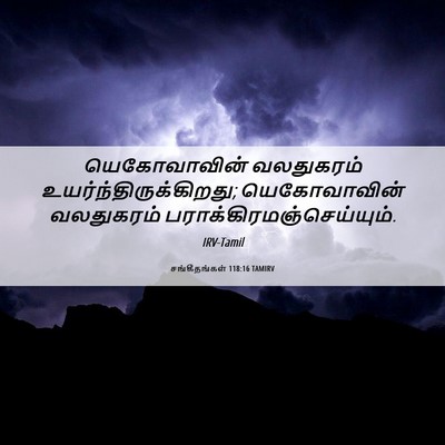 Picture 06 - சங்கீதங்கள் 118:16 TAMIRV - யெகோவாவின் - Bible Verse Picture