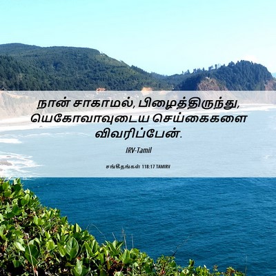 Picture 06 - சங்கீதங்கள் 118:17 TAMIRV - நான் சாகாமல், - Bible Verse Picture