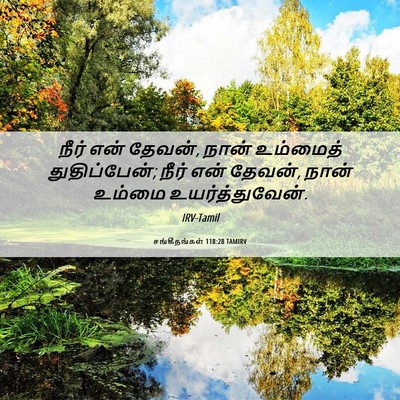 Picture 06 - சங்கீதங்கள் 118:28 TAMIRV - நீர் என் தேவன், - Bible Verse Picture