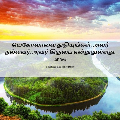 Picture 06 - சங்கீதங்கள் 118:29 TAMIRV - யெகோவாவை - Bible Verse Picture