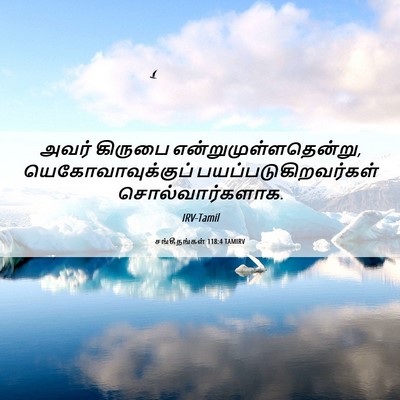 Picture 06 - சங்கீதங்கள் 118:4 TAMIRV - அவர் கிருபை - Bible Verse Picture