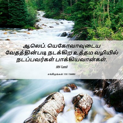 Picture 06 - சங்கீதங்கள் 119:1 TAMIRV - ஆலெப். - Bible Verse Picture