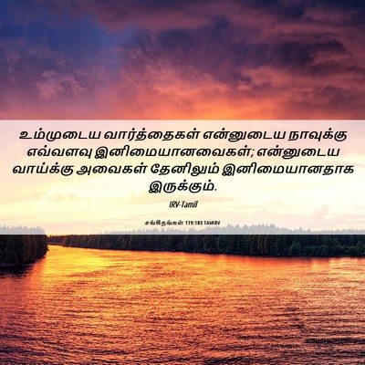 Picture 06 - சங்கீதங்கள் 119:103 TAMIRV - உம்முடைய - Bible Verse Picture