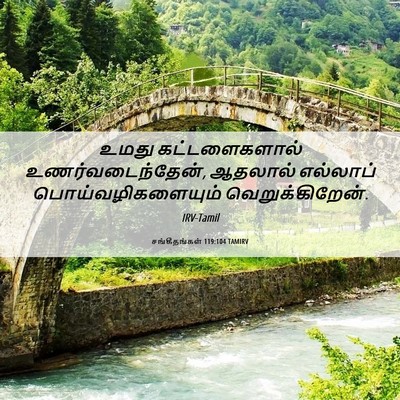 Picture 06 - சங்கீதங்கள் 119:104 TAMIRV - உமது கட்டளைகளால் - Bible Verse Picture