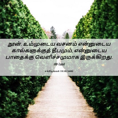 Picture 06 - சங்கீதங்கள் 119:105 TAMIRV - நூன். உம்முடைய - Bible Verse Picture