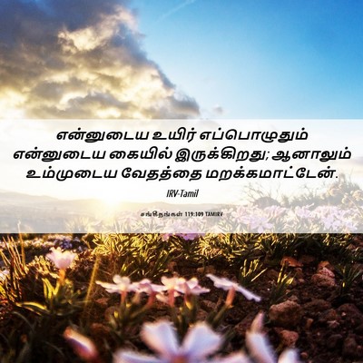 Picture 06 - சங்கீதங்கள் 119:109 TAMIRV - என்னுடைய உயிர் - Bible Verse Picture