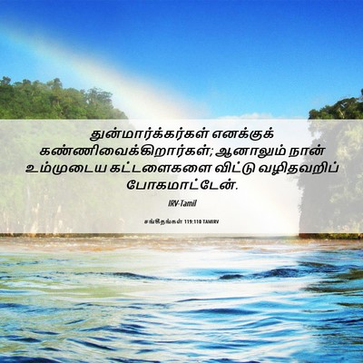 Picture 06 - சங்கீதங்கள் 119:110 TAMIRV - துன்மார்க்கர்கள் - Bible Verse Picture