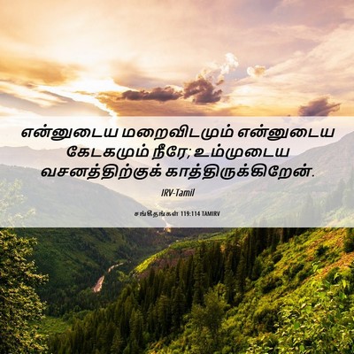 Picture 06 - சங்கீதங்கள் 119:114 TAMIRV - என்னுடைய - Bible Verse Picture