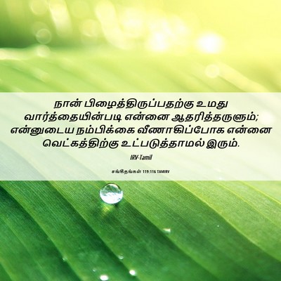 Picture 06 - சங்கீதங்கள் 119:116 TAMIRV - நான் - Bible Verse Picture