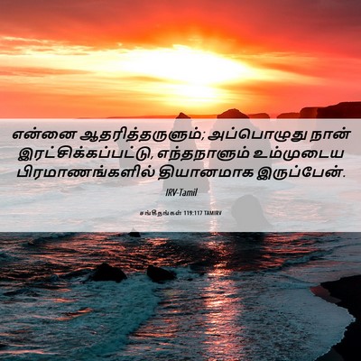 Picture 06 - சங்கீதங்கள் 119:117 TAMIRV - என்னை - Bible Verse Picture
