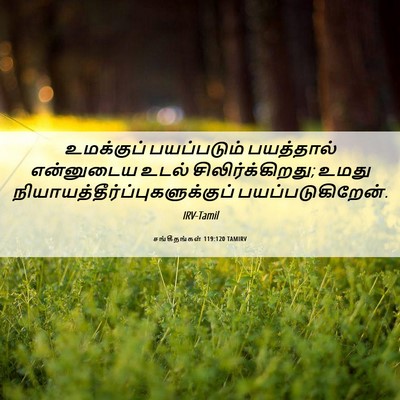 Picture 06 - சங்கீதங்கள் 119:120 TAMIRV - உமக்குப் - Bible Verse Picture