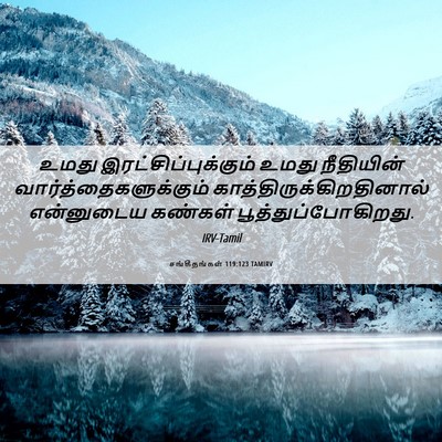 Picture 06 - சங்கீதங்கள் 119:123 TAMIRV - உமது - Bible Verse Picture