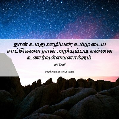 Picture 06 - சங்கீதங்கள் 119:125 TAMIRV - நான் உமது ஊழியன்; - Bible Verse Picture