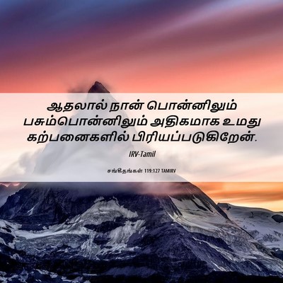 Picture 06 - சங்கீதங்கள் 119:127 TAMIRV - ஆதலால் நான் - Bible Verse Picture