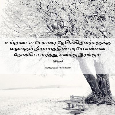 Picture 06 - சங்கீதங்கள் 119:132 TAMIRV - உம்முடைய பெயரை - Bible Verse Picture