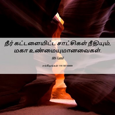 Picture 06 - சங்கீதங்கள் 119:138 TAMIRV - நீர் கட்டளையிட்ட - Bible Verse Picture
