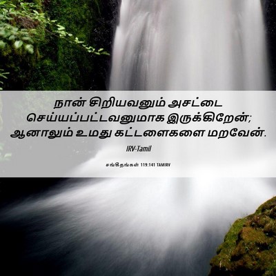 Picture 06 - சங்கீதங்கள் 119:141 TAMIRV - நான் சிறியவனும் - Bible Verse Picture