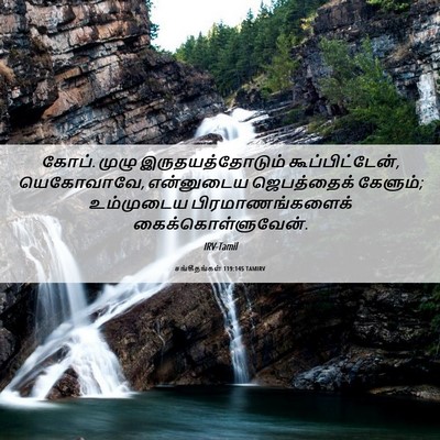 Picture 06 - சங்கீதங்கள் 119:145 TAMIRV - கோப். முழு - Bible Verse Picture