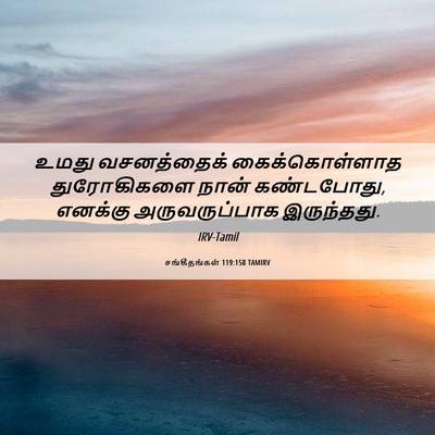 Picture 06 - சங்கீதங்கள் 119:158 TAMIRV - உமது வசனத்தைக் - Bible Verse Picture