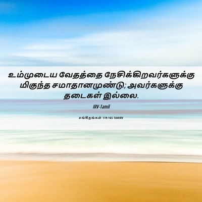 Picture 06 - சங்கீதங்கள் 119:165 TAMIRV - உம்முடைய வேதத்தை - Bible Verse Picture