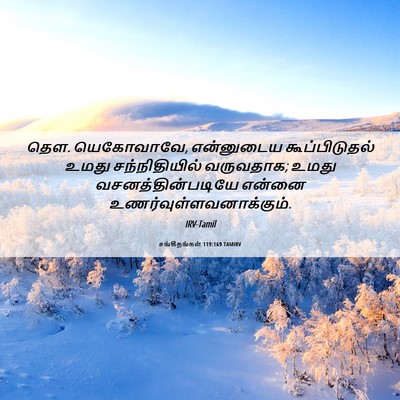 Picture 06 - சங்கீதங்கள் 119:169 TAMIRV - தெள. யெகோவாவே, - Bible Verse Picture