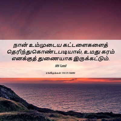 Picture 06 - சங்கீதங்கள் 119:173 TAMIRV - நான் உம்முடைய - Bible Verse Picture