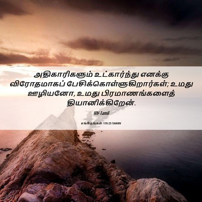 Picture 06 - சங்கீதங்கள் 119:23 TAMIRV - அதிகாரிகளும் - Bible Verse Picture