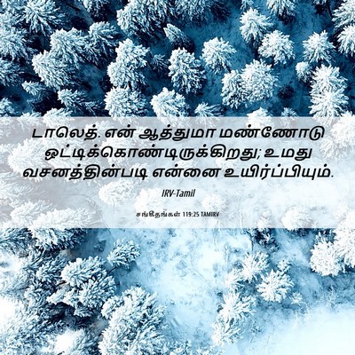 Picture 06 - சங்கீதங்கள் 119:25 TAMIRV - டாலெத். என் - Bible Verse Picture