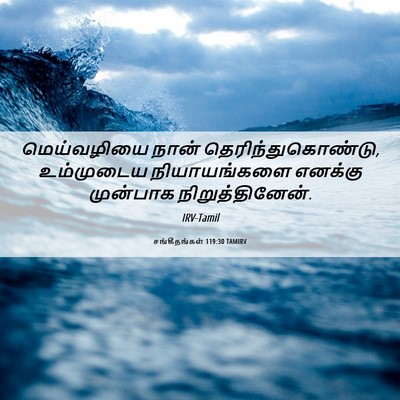 Picture 06 - சங்கீதங்கள் 119:30 TAMIRV - மெய்வழியை நான் - Bible Verse Picture