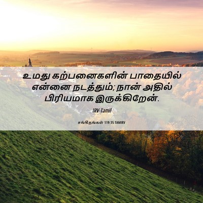 Picture 06 - சங்கீதங்கள் 119:35 TAMIRV - உமது கற்பனைகளின் - Bible Verse Picture