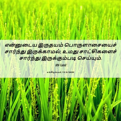 Picture 06 - சங்கீதங்கள் 119:36 TAMIRV - என்னுடைய இருதயம் - Bible Verse Picture