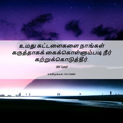 Picture 06 - சங்கீதங்கள் 119:4 TAMIRV - உமது கட்டளைகளை - Bible Verse Picture