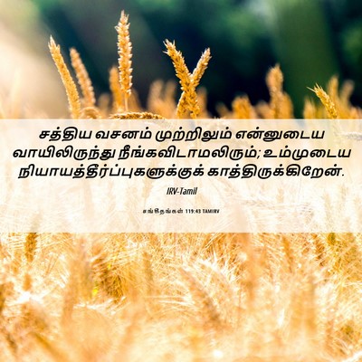 Picture 06 - சங்கீதங்கள் 119:43 TAMIRV - சத்திய வசனம் - Bible Verse Picture