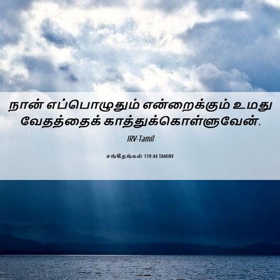 Picture 06 - சங்கீதங்கள் 119:44 TAMIRV - நான் எப்பொழுதும் - Bible Verse Picture