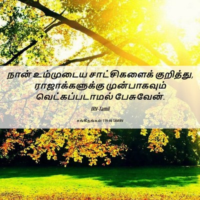 Picture 06 - சங்கீதங்கள் 119:46 TAMIRV - நான் உம்முடைய - Bible Verse Picture