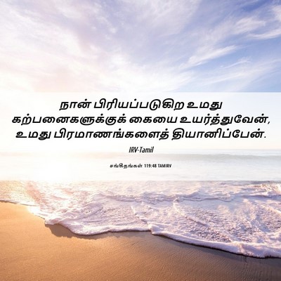 Picture 06 - சங்கீதங்கள் 119:48 TAMIRV - நான் - Bible Verse Picture