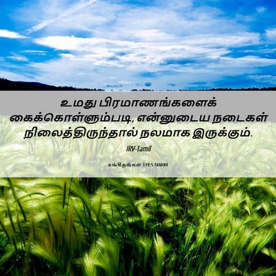 Picture 06 - சங்கீதங்கள் 119:5 TAMIRV - உமது - Bible Verse Picture