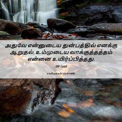 Picture 06 - சங்கீதங்கள் 119:50 TAMIRV - அதுவே என்னுடைய - Bible Verse Picture