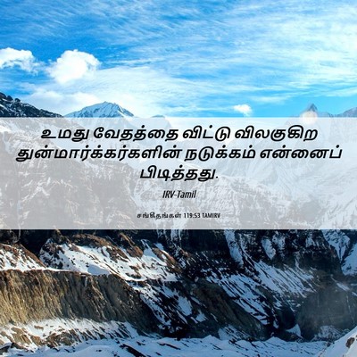 Picture 06 - சங்கீதங்கள் 119:53 TAMIRV - உமது வேதத்தை - Bible Verse Picture