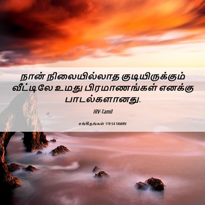 Picture 06 - சங்கீதங்கள் 119:54 TAMIRV - நான் நிலையில்லாத - Bible Verse Picture