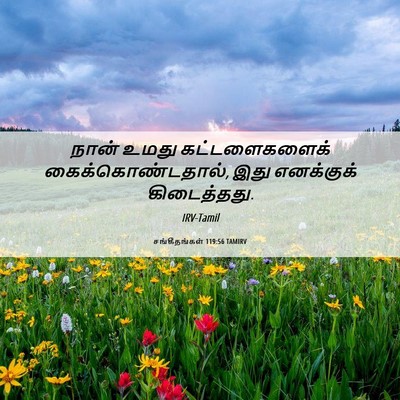 Picture 06 - சங்கீதங்கள் 119:56 TAMIRV - நான் உமது - Bible Verse Picture