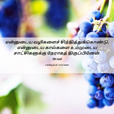 Picture 06 - சங்கீதங்கள் 119:59 TAMIRV - என்னுடைய வழிகளைச் - Bible Verse Picture